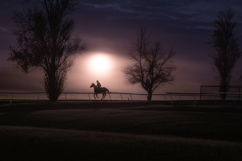A lone jockey and horse gallop across a misty racetrack at dawn, silhouetted against a bright, hazy sun. Bare trees frame the scene, adding to the atmospheric and serene mood.