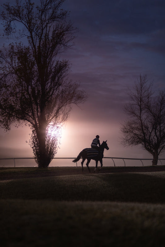 A jockey rides a horse wearing a striped blanket during a misty sunrise. The sun's rays break through the fog behind a silhouetted tree, casting a warm glow on the scene.