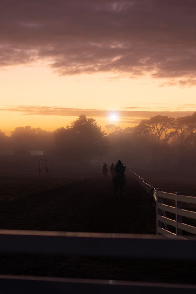 Silhouetted horses and riders moving along a track, creating an atmospheric scene during a foggy sunrise with golden light
