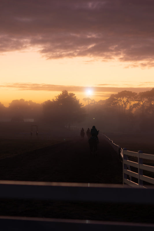Silhouetted horses and riders moving along a track, creating an atmospheric scene during a foggy sunrise with golden light