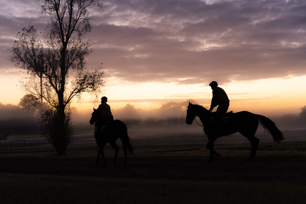Silhouettes of two jockeys on horseback ride across a misty field at sunrise. The sky is a gradient of purple and orange, with clouds catching the light. A bare tree stands to the left, and the horses are on a track with a white railing.