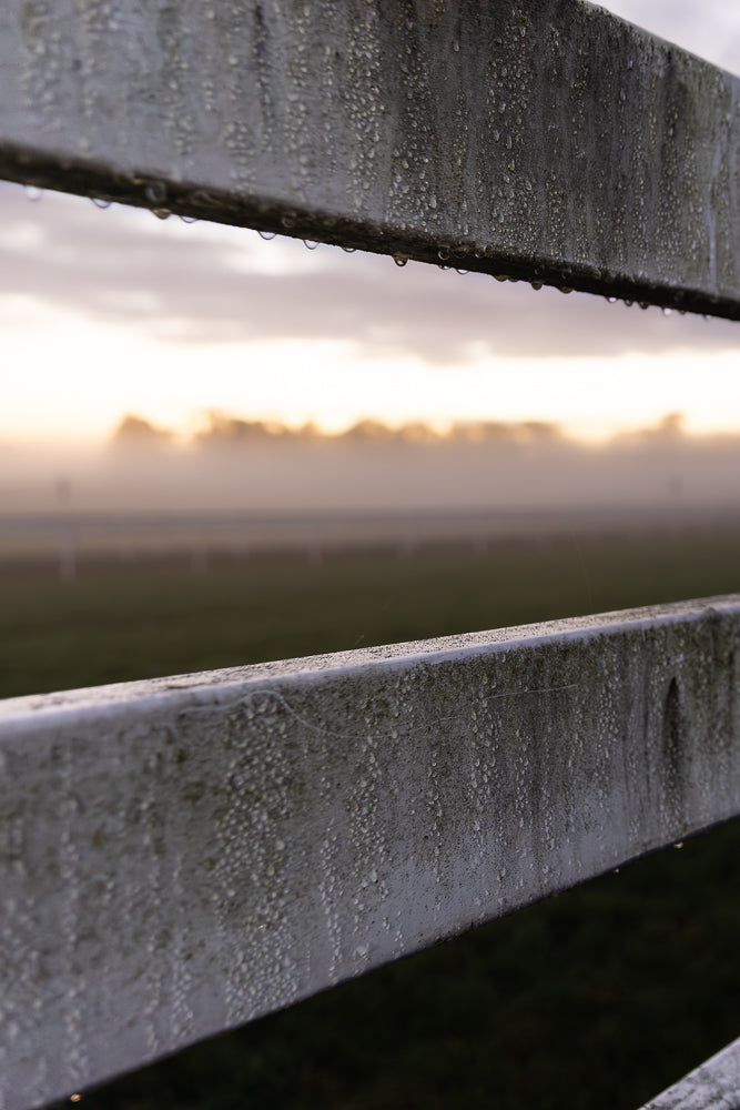 Close-up of a weathered wooden fence with dew drops clinging to the surface. In the background, a misty sunrise casts a warm glow over a field.