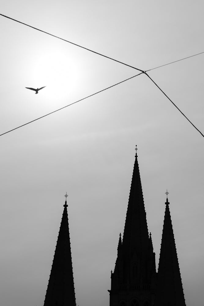A bird flies in the sky above the spires of a cathedral, with power lines crossing the frame.