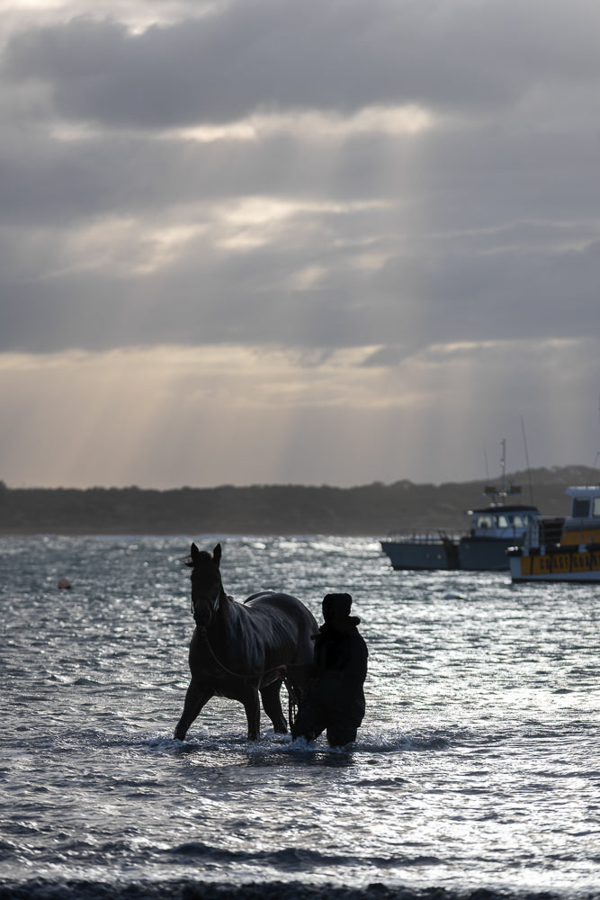 A person in dark clothing leads a dark horse through choppy, sunlit water. Two boats are visible in the background under a cloudy sky.