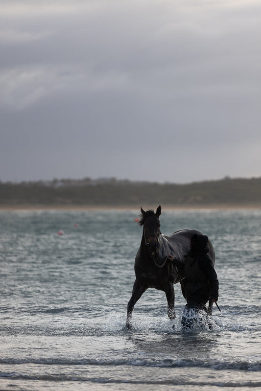 A person in dark clothing leads a dark horse through shallow water near a beach. The horse is splashing water as it walks, and the person is holding a lead rope. The sky is overcast, and the water is choppy.
