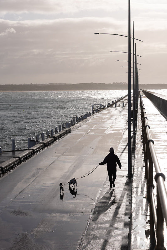 A person walks two dogs on leashes along a wet pier under a cloudy sky. The pier has a railing on the right and lampposts lining the left side. The wet surface reflects the light and the shadows of the person and dogs.