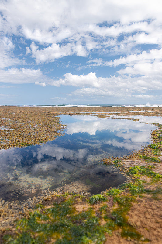 A tide pool reflects a blue sky with fluffy white clouds. The pool is surrounded by a rocky shore covered in seaweed and small pebbles. In the distance, waves crash on the ocean.