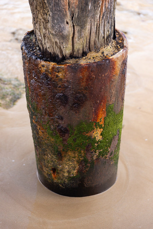 A close-up shot of a weathered wooden post encased in a rusty metal cylinder, partially covered in green moss. The post is set in wet sand, with the ocean blurred in the background.
