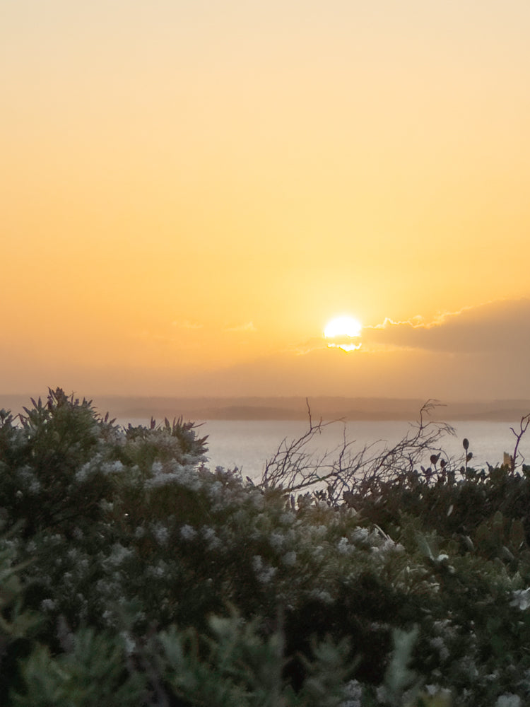 The sun is setting over a body of water, casting a warm orange glow across the sky. Silhouetted trees and bushes are in the foreground, with the sun partially obscured by clouds.