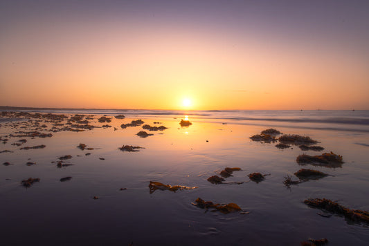 A serene sunset over a calm ocean, with the sun casting a golden glow on the water. The foreground is a wet sandy beach with scattered seaweed, reflecting the vibrant colors of the sky.