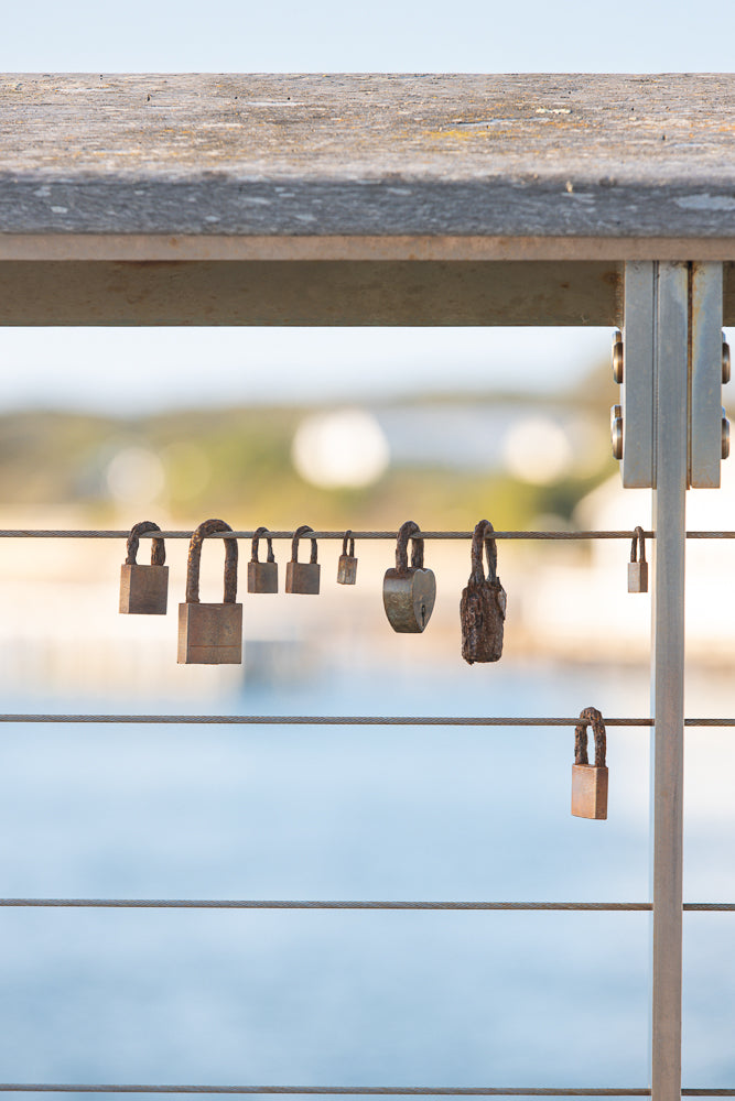 A collection of rusty padlocks hang from a wire fence against a blurred background of water and sky. The locks vary in size and shape, with some appearing older and more weathered than others.