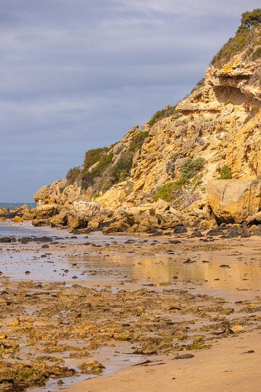 A lone figure walks along the rocky shore of a beach, with a large, weathered cliff face rising behind them. The tide is out, revealing a wet, sandy expanse dotted with rocks and seaweed. The sky above is overcast with soft clouds.