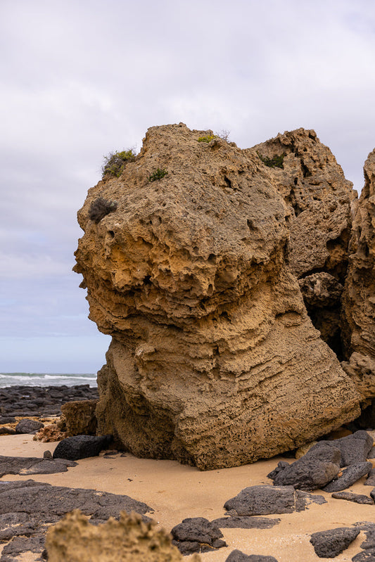 A large, porous, tan-colored rock formation stands on a sandy beach. The rock has many holes and crevices, and a few small green plants grow on top. Darker, rougher rocks are scattered around the base of the formation and in the foreground. The ocean and a cloudy sky are visible in the background.