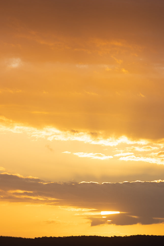 A dramatic sunset paints the sky in vibrant shades of orange and yellow. Wispy clouds are illuminated by the setting sun, which peeks through a band of darker clouds near the horizon, casting a warm glow over the silhouetted treeline.