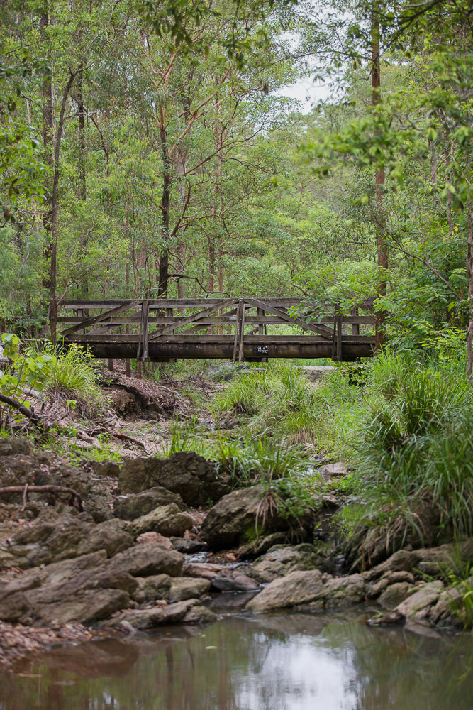 A wooden bridge spans a rocky creek bed surrounded by lush green trees and foliage. The water reflects the overcast sky and surrounding greenery.