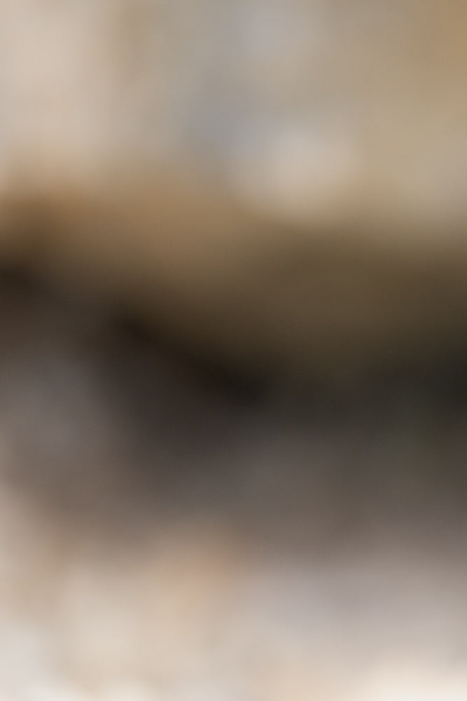 A blurred image with a gradient of colors from dark brown to light beige, suggesting a soft, abstract background.