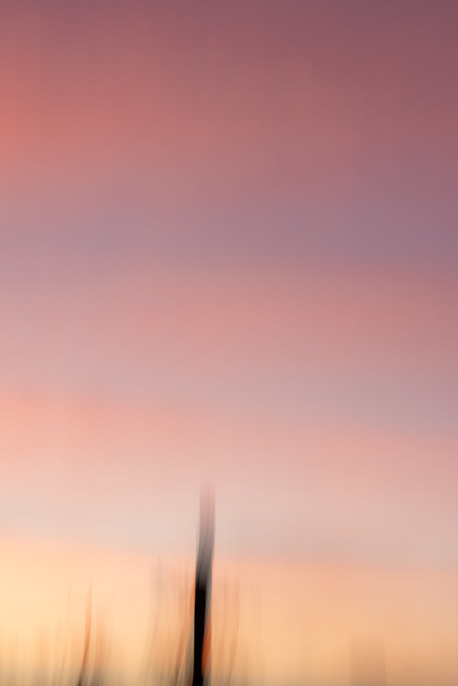 Abstract image of a sunset with soft pink and orange hues. A blurred vertical dark shape, possibly a tree or pole, is visible in the lower center.