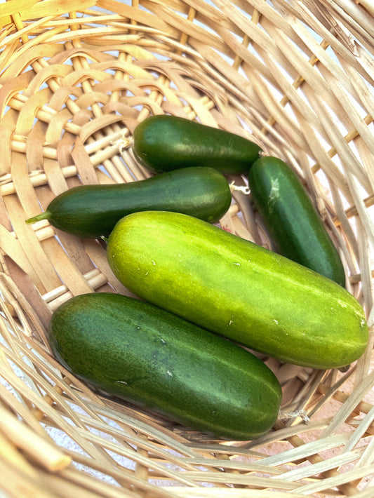 A close-up shot shows several fresh, green cucumbers nestled inside a woven basket. The cucumbers vary slightly in size and shade of green, with one larger cucumber in the foreground and smaller ones behind it.