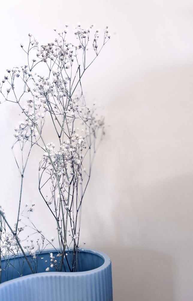 A close-up shot of delicate white baby's breath flowers in a blue ribbed vase against a soft, neutral background. The flowers are airy and delicate, with thin stems and tiny white blossoms.
