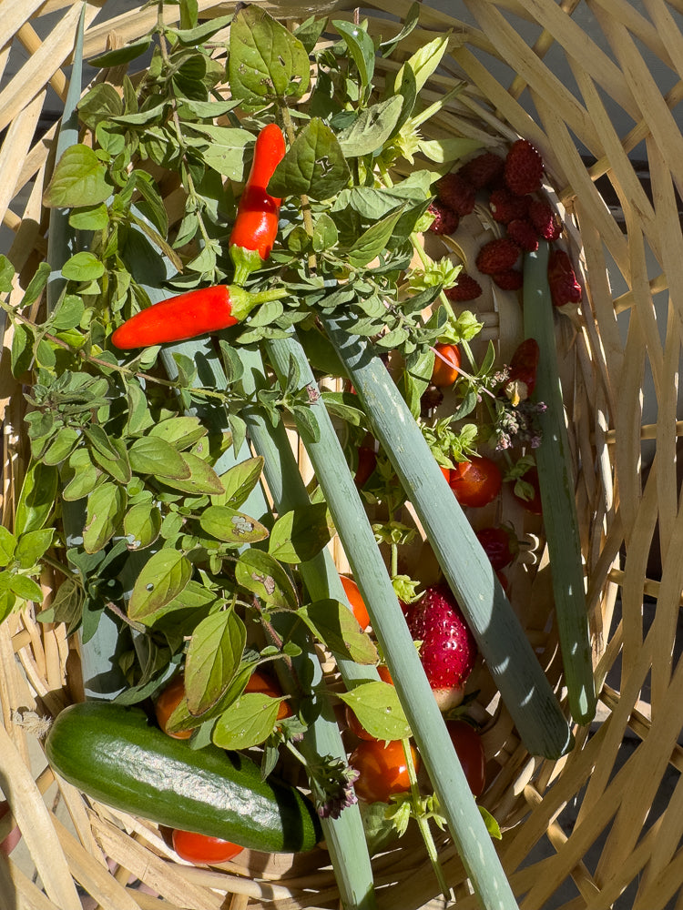 A woven basket filled with fresh produce, including green onions, red chili peppers, cherry tomatoes, strawberries, and a cucumber.