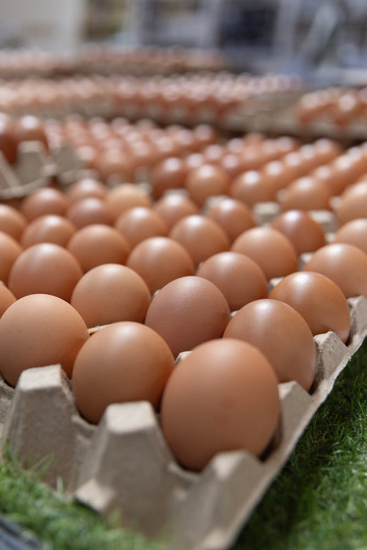 A close-up, low-angle shot shows rows of brown eggs in cardboard cartons, arranged on a surface covered with green artificial grass. The eggs are the primary focus, with many in sharp detail and others softly blurred in the background, creating a sense of depth and abundance.