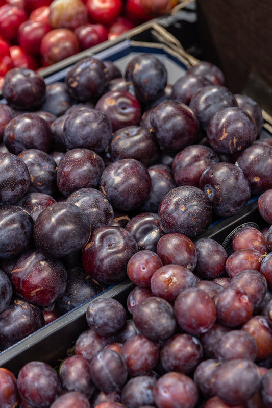 A close-up shot of a bin filled with ripe, dark purple plums. Some plums are a deep red color, and all are plump and smooth-skinned, with a few showing a light dusting of natural bloom.