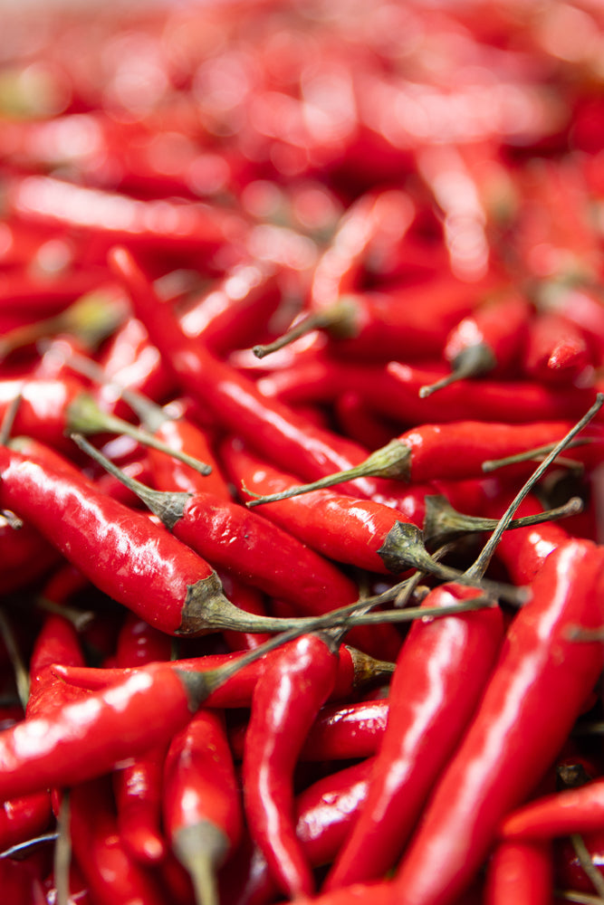 A close-up, shallow depth of field shot shows a pile of bright red chili peppers. The peppers are glossy and have visible stems. The focus is on the peppers in the foreground, with the background blurred into a soft red bokeh.