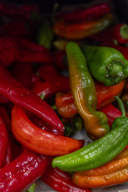 A close-up shot shows a pile of colorful chili peppers. The peppers are a mix of vibrant red, bright green, and orange, with some showing a gradient of color. They are arranged in a way that highlights their smooth, glossy skins and slightly wrinkled texture.