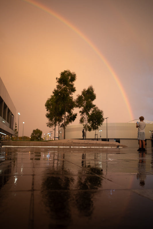 A rainbow arcs across a hazy, orange sky over a wet, reflective plaza. Two trees stand in the middle ground, and a person with curly hair stands on the right, looking at their phone.