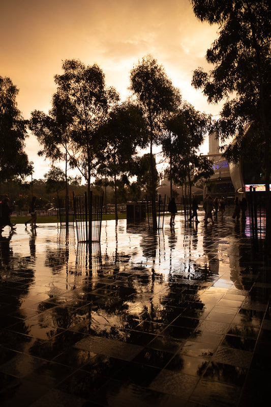 Silhouetted trees and people walk on a wet, tiled plaza reflecting the warm, golden sunset sky. The ground is slick with water, creating mirror-like reflections of the trees and the sky.