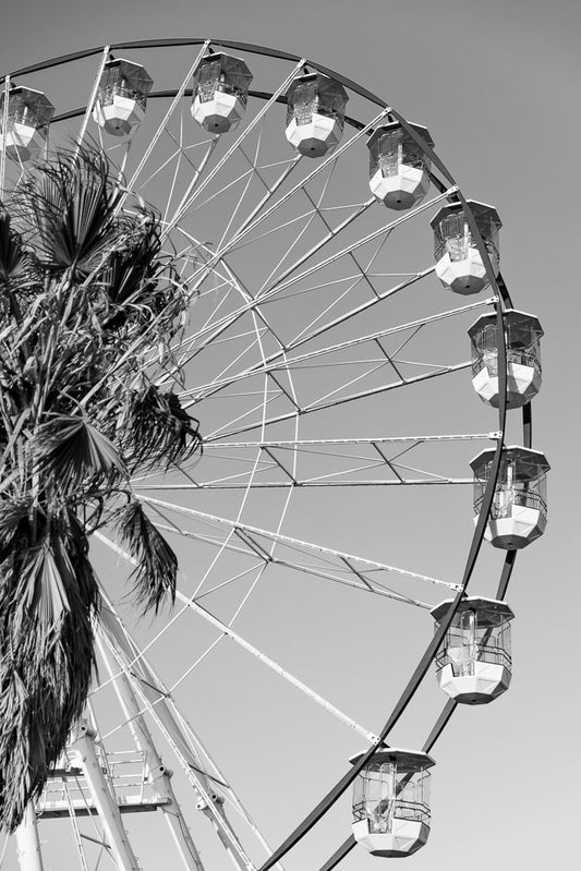A black and white close-up shot of a Ferris wheel with several gondolas visible against a clear sky. A palm tree frond is in the foreground on the left side of the image.