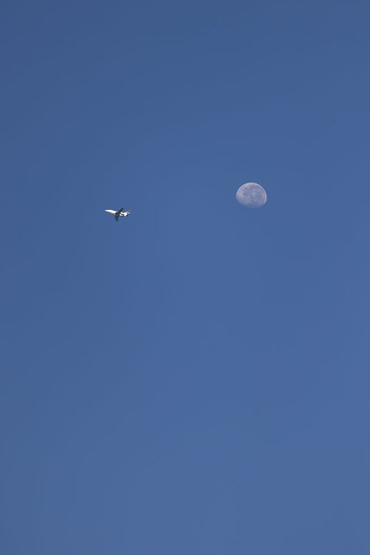 A small white airplane flies across a clear blue sky towards a large, pale moon.