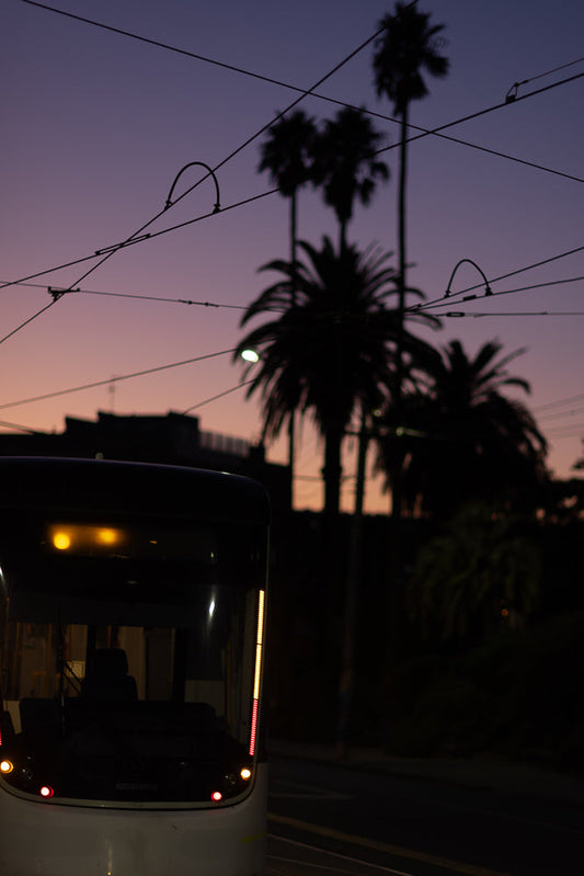 A tram moves along tracks at dusk, silhouetted against a purple and orange sky. Palm trees are visible in the background, with overhead wires crisscrossing the frame.