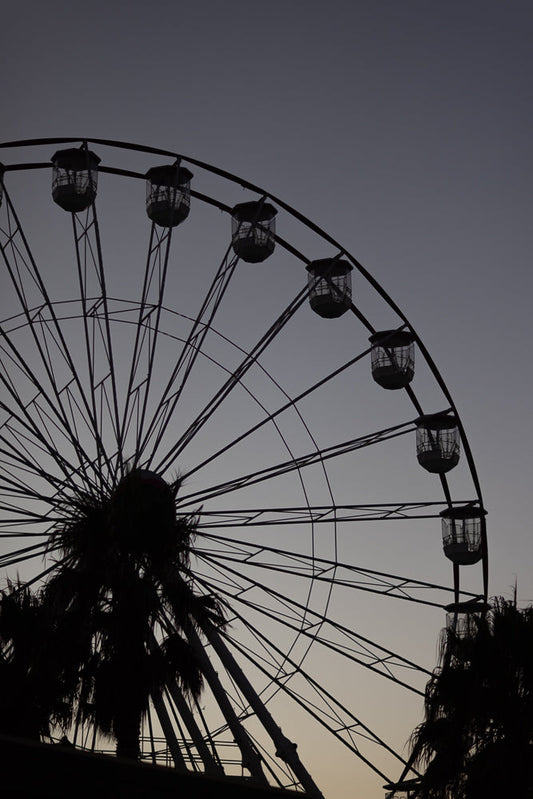 A silhouette of a Ferris wheel against a dusky sky, with palm trees in the foreground.