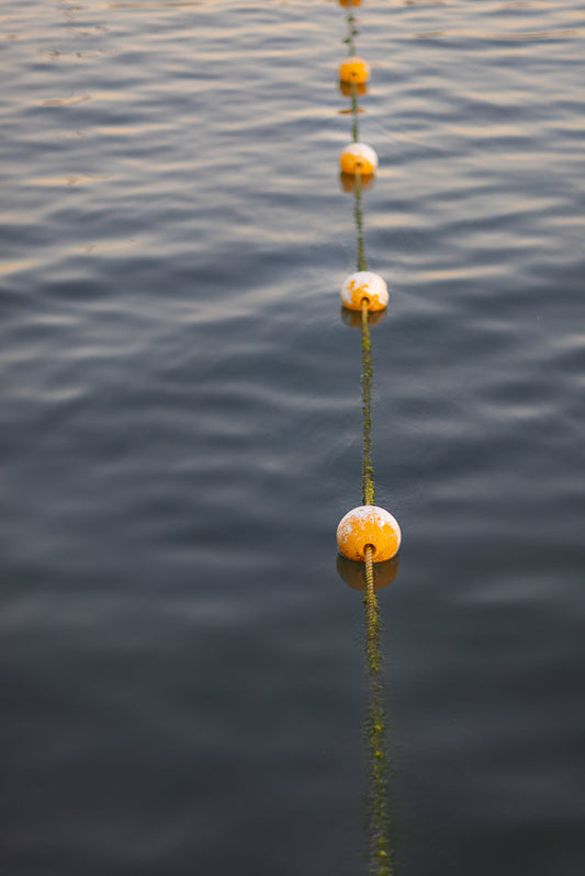 A line of yellow and white buoys floats on dark, rippling water, connected by a rope.