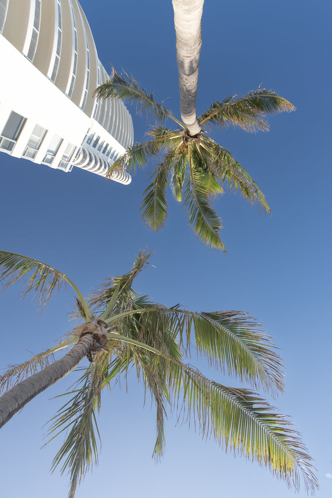 Looking up at a modern white building with curved balconies and windows, with two palm trees against a clear blue sky.