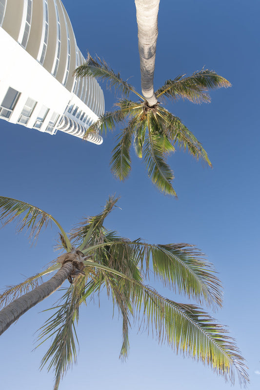 Looking up at a modern white building with curved balconies and windows, with two palm trees against a clear blue sky.