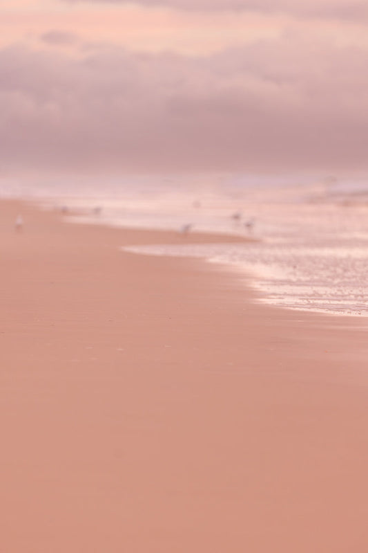 Soft pink sunrise colors on beach blurred to create a beautiful beach seascape with seagulls - perfect for feminine travel background