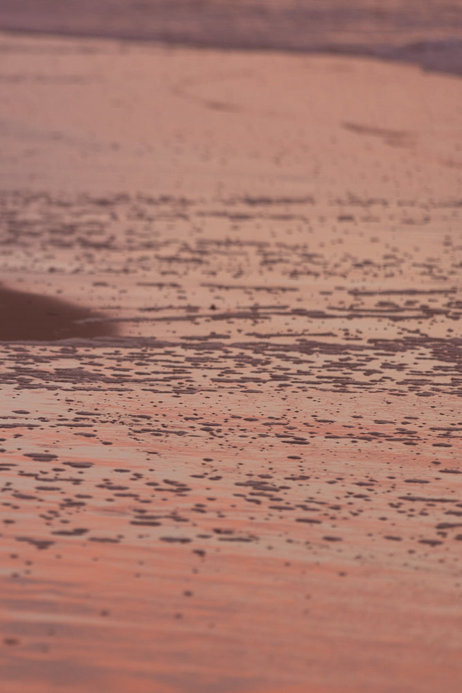 Abstract wet sandy beach at sunset. The water reflects the pink and orange hues of the sky, creating a serene and tranquil scene.