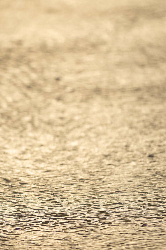 Close-up of rippling water with golden sunlight reflecting off the surface, creating a textured pattern of light and shadow.