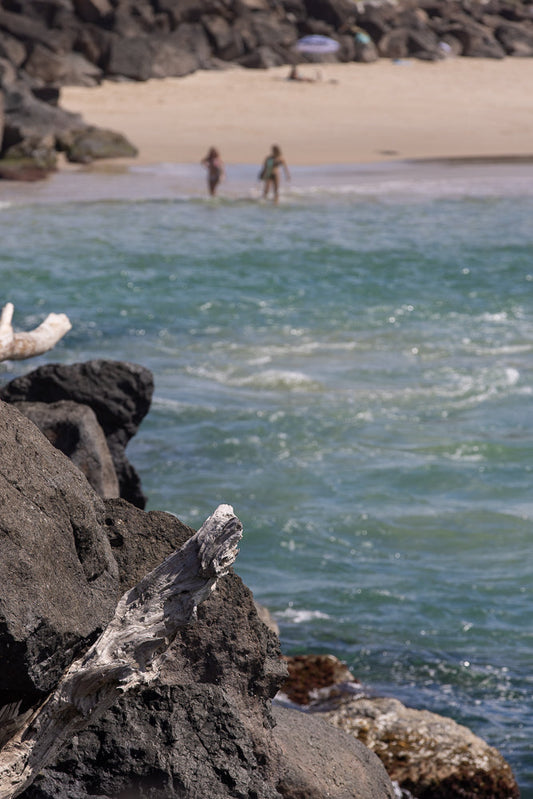 A weathered piece of driftwood rests on dark rocks in the foreground, with the turquoise ocean and a sandy beach in the background. Two people are visible wading in the shallow water.