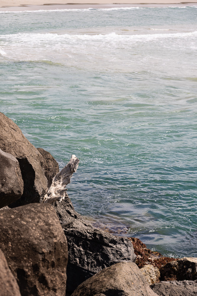 A close-up view of weathered rocks and a piece of driftwood on the shore, with the turquoise ocean and gentle waves in the background.