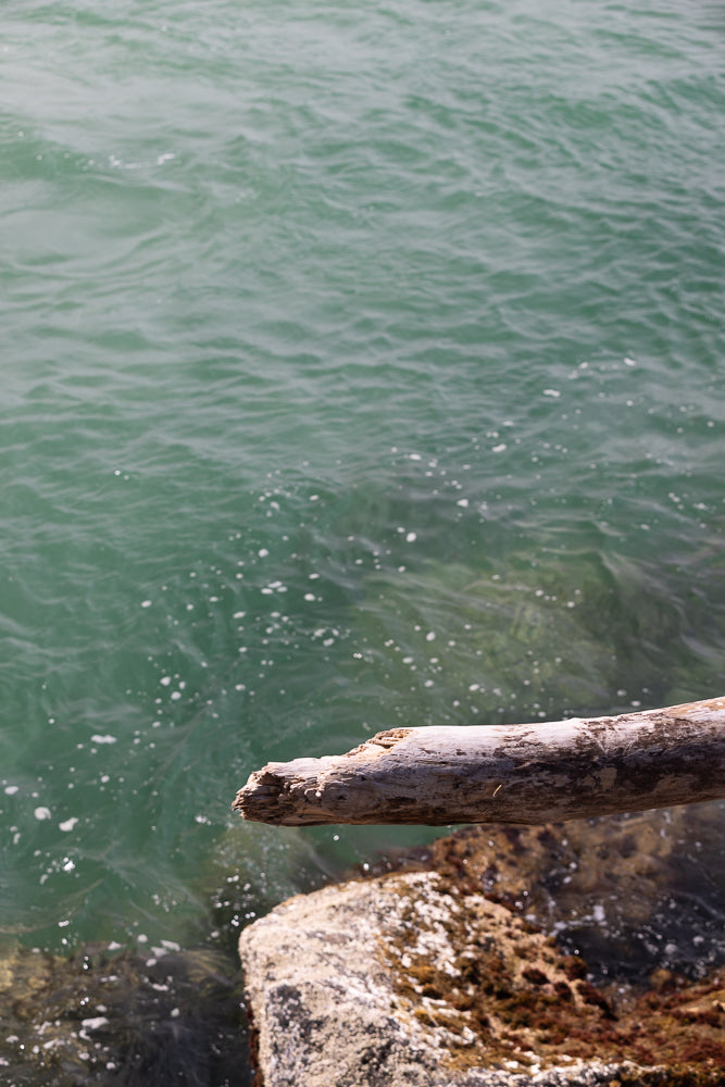 A weathered piece of driftwood rests on rocks at the edge of the turquoise water. The water has small white bubbles and ripples on its surface.