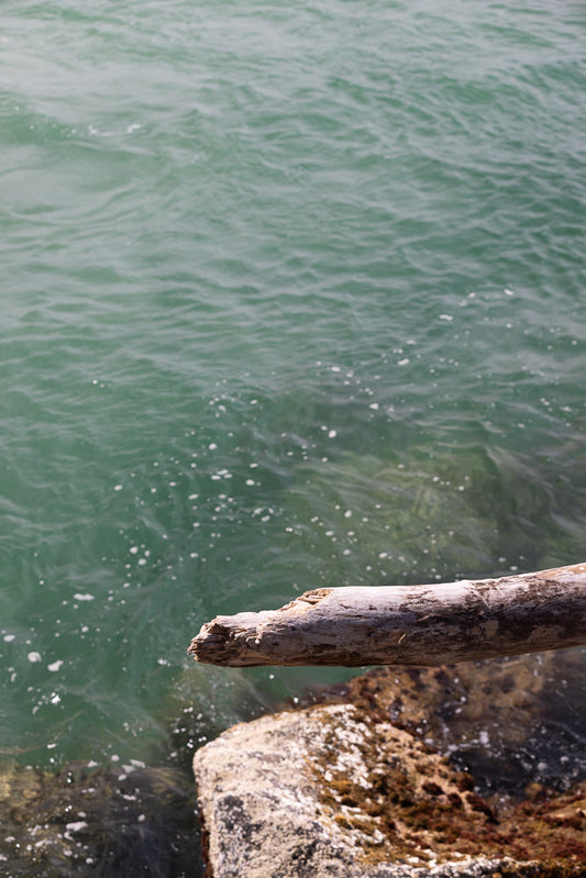 A weathered piece of driftwood rests on rocks at the edge of the turquoise water. The water has small white bubbles and ripples on its surface.