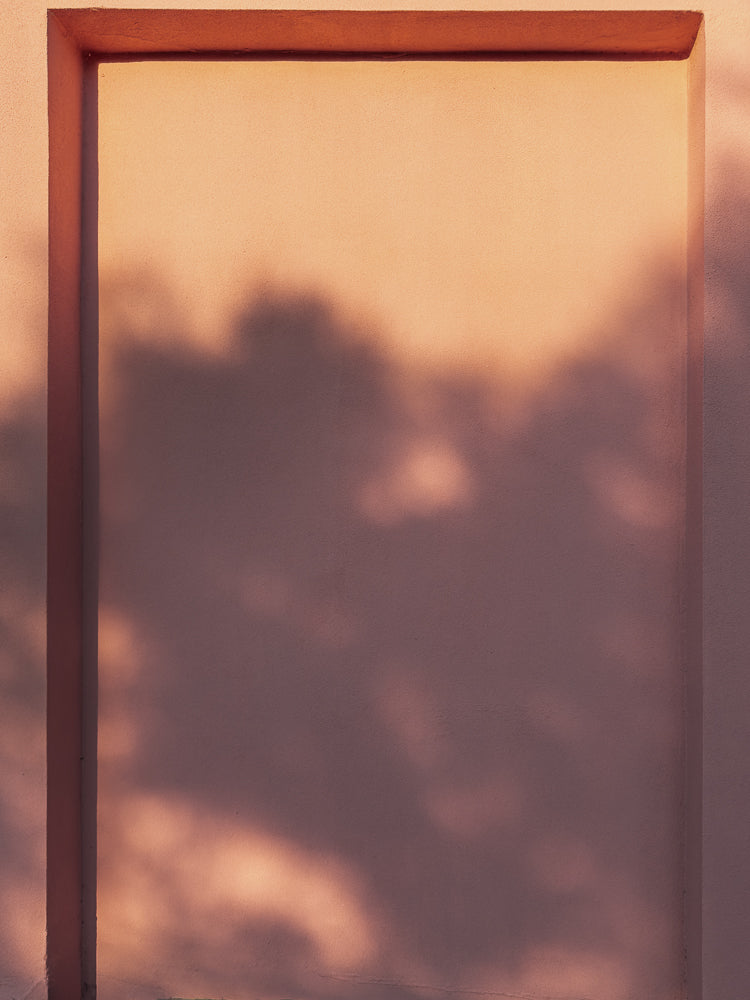 A textured, peach-colored wall with a recessed rectangular frame. The wall is bathed in warm, golden light, casting soft shadows of tree leaves across its surface, creating an abstract pattern.