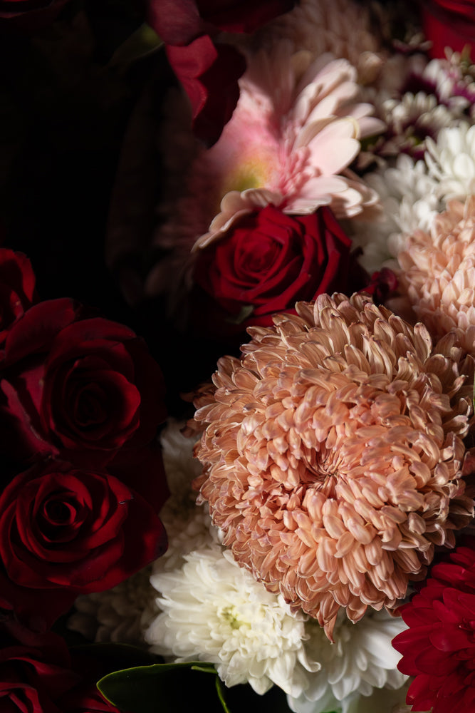 A close-up, moody shot of a bouquet of flowers, featuring deep red roses, pale pink gerbera daisies, white chrysanthemums, and a large, peachy-pink chrysanthemum in the foreground.
