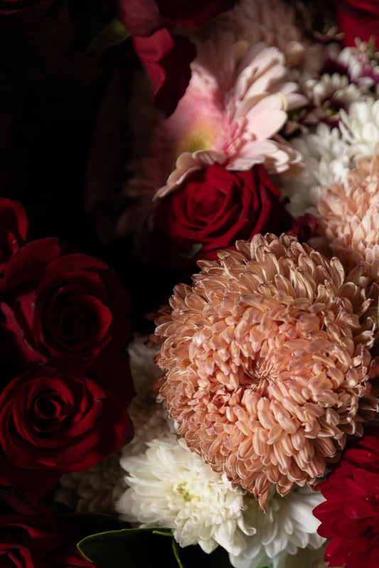 A close-up, moody shot of a bouquet of flowers, featuring deep red roses, pale pink gerbera daisies, white chrysanthemums, and a large, peachy-pink chrysanthemum in the foreground.