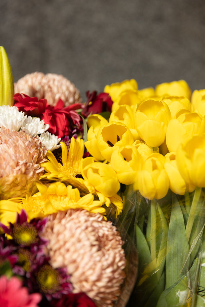 A close-up shot of a vibrant bouquet of flowers, featuring bright yellow tulips in the foreground, alongside a mix of red, white, and pink chrysanthemums and yellow gerbera daisies.