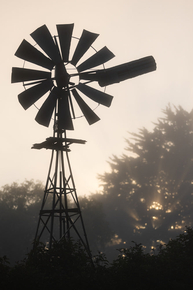 A silhouette of a vintage windmill stands against a hazy, golden sky. The windmill's blades are dark against the soft light, and trees are visible in the misty background, with sunbeams breaking through the fog.