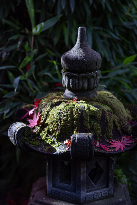 A stone Japanese lantern covered in moss and fallen red maple leaves.